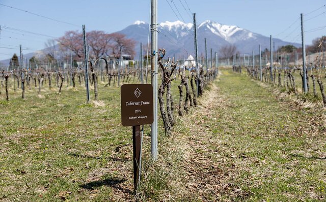 Local love for both wine and ingredients! Highly recommended for first-time pairing dinner guests: exquisite Italian cuisine at an unbeatable value | TRAVEL
