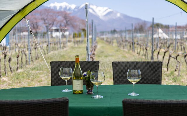 Local love for both wine and ingredients! Highly recommended for first-time pairing dinner guests: exquisite Italian cuisine at an unbeatable value | TRAVEL