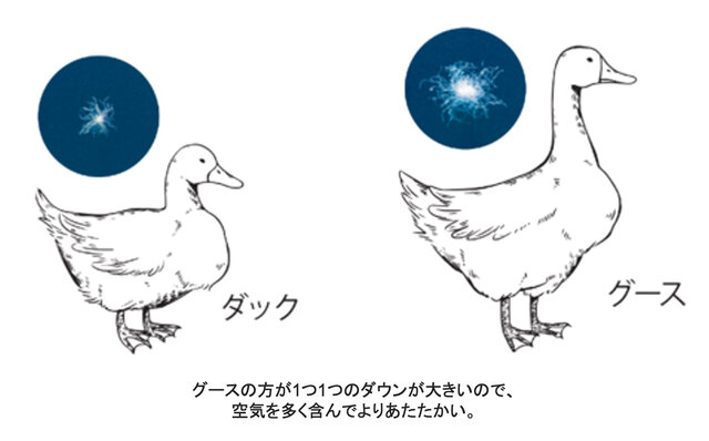 Long-established bedding maker Nishikawa develops a washable down sleeping bag, the "Nishikawa Honki Neguruma," achieving a comfortable sleep experience like being in your own bed | NISHIKAWA