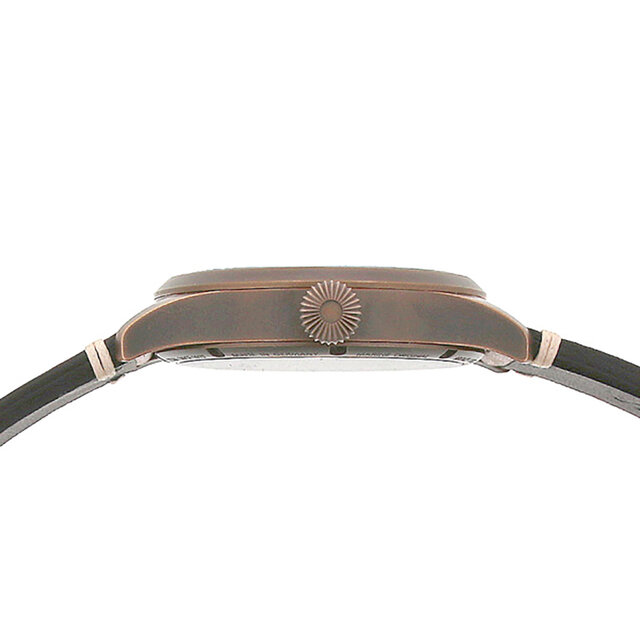 A Clean, Mature Bronze Case Model That Ages Beautifully | STOWA