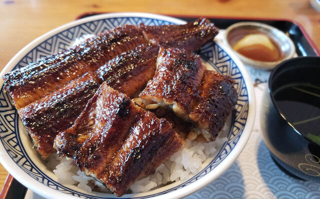 Essay Series | #ijichiman's Musings "Unagi"