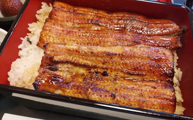 Essay Series | #ijichiman's Musings "Unagi"