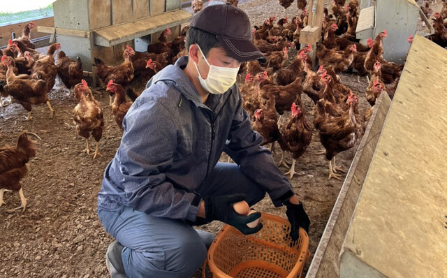 信州・安曇野の“環境にやさしい平飼い卵”をフードレスキュー！｜EAT
