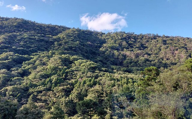 Rejuvenate Body and Soul at the Newly Renovated Hatsu Hana in Hakone Yumoto. | TRAVEL