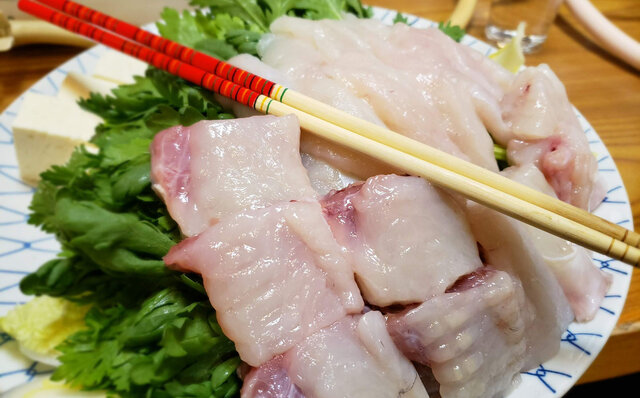 Essay Series | #ijichiman's Musings: "Fugu"