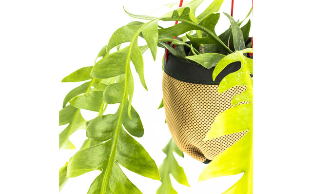 植物を吊るしてインテリアの一部に。使いやすいハンキングプランターを提案｜Araheam