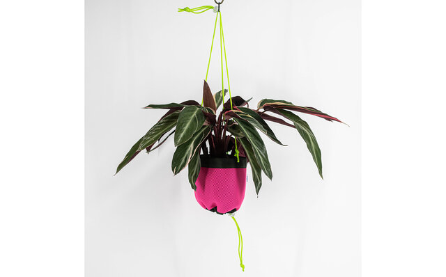 植物を吊るしてインテリアの一部に。使いやすいハンキングプランターを提案｜Araheam