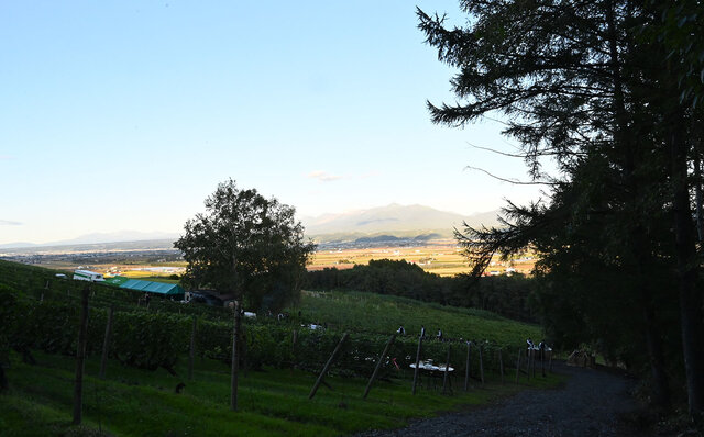 「THE OUTDOOR LIVING IN FURANO」　 富良野の山頂の絶景で、セララバアド橋本宏一シェフが織りなすフルコースを食すスペシャルダイニングがこの秋開催