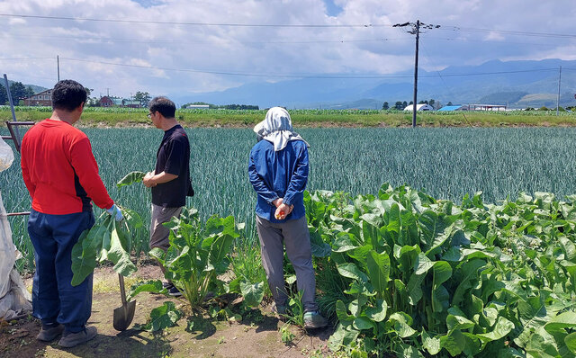 「THE OUTDOOR LIVING IN FURANO」　 富良野の山頂の絶景で、セララバアド橋本宏一シェフが織りなすフルコースを食すスペシャルダイニングがこの秋開催