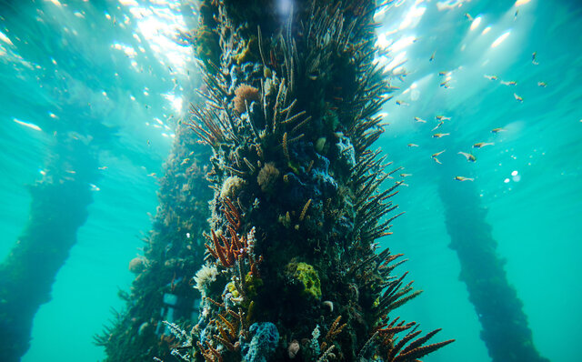 Premium Wines, the Ocean, and Olives: Savoring Nature's Bounty in Margaret River | TRAVEL