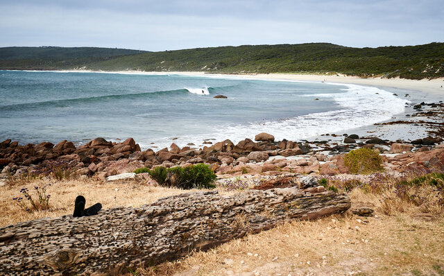 Premium Wines, the Ocean, and Olives: Savoring Nature's Bounty in Margaret River | TRAVEL