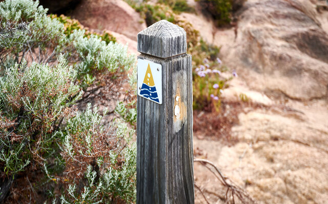 Premium Wines, the Ocean, and Olives: Savoring Nature's Bounty in Margaret River | TRAVEL