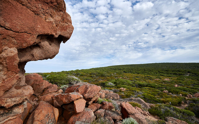 Premium Wines, the Ocean, and Olives: Savoring Nature's Bounty in Margaret River | TRAVEL
