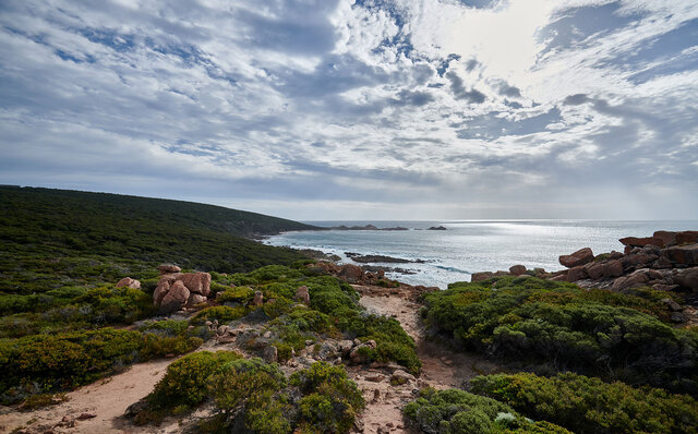 Premium Wines, the Ocean, and Olives: Savoring Nature's Bounty in Margaret River | TRAVEL