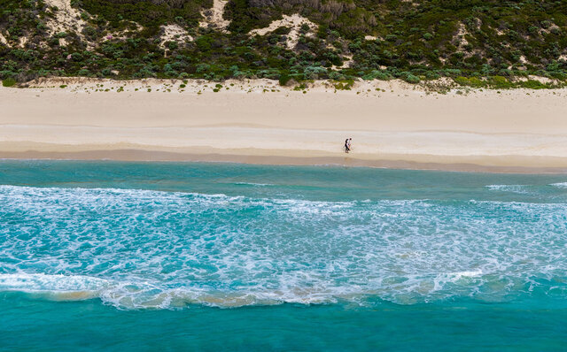 Premium Wines, the Ocean, and Olives: Savoring Nature's Bounty in Margaret River | TRAVEL