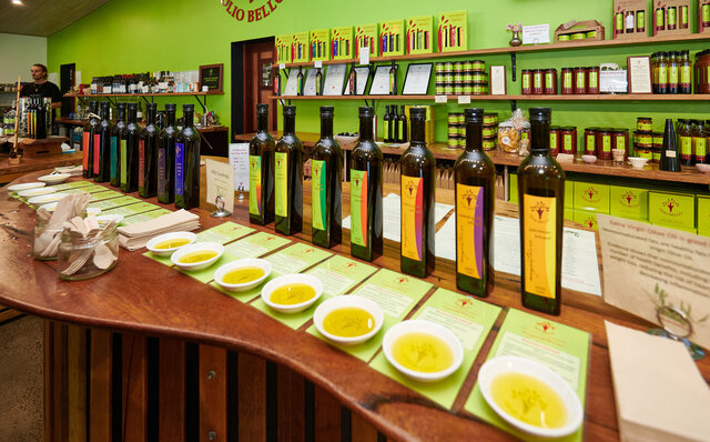 Premium Wines, the Ocean, and Olives: Savoring Nature's Bounty in Margaret River | TRAVEL