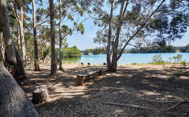 Premium Wines, the Ocean, and Olives: Savoring Nature's Bounty in Margaret River | TRAVEL