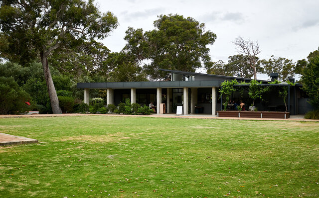 Premium Wines, the Ocean, and Olives: Savoring Nature's Bounty in Margaret River | TRAVEL