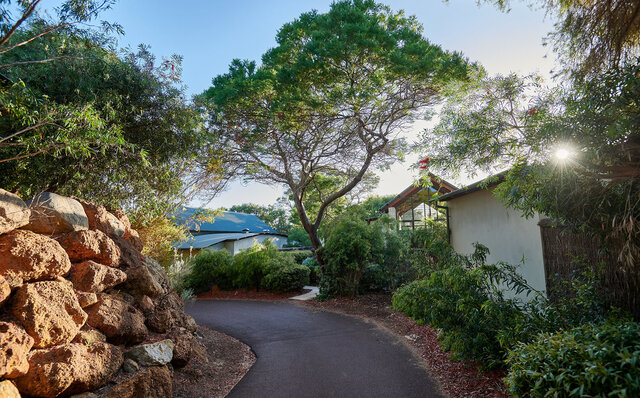 Premium Wines, the Ocean, and Olives: Savoring Nature's Bounty in Margaret River | TRAVEL