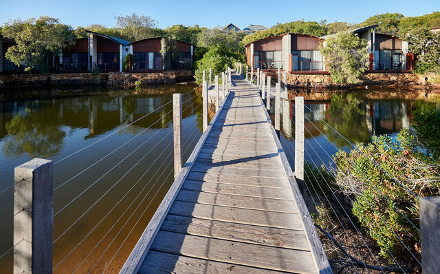Premium Wines, the Ocean, and Olives: Savoring Nature's Bounty in Margaret River | TRAVEL