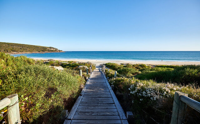 Premium Wines, the Ocean, and Olives: Savoring Nature's Bounty in Margaret River | TRAVEL