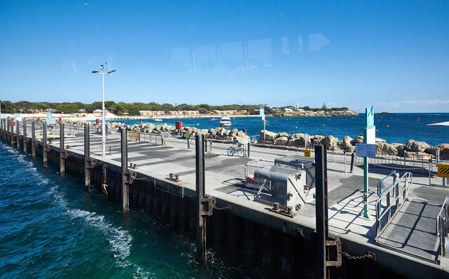 Falling for the World's Happiest Animal, the Quokka, on Rottnest Island | TRAVEL