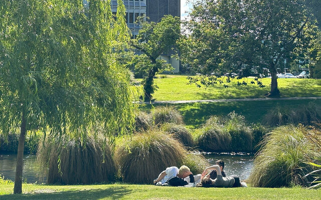 Post-Pandemic Adult Travel: New Zealand, Where Comfortable Human Connection Reigns Supreme! | TRAVEL