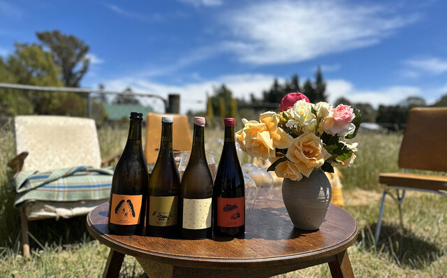 Visiting Japanese Winemakers in New Zealand's Premier Marlborough Region | TRAVEL