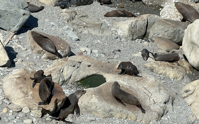 Feeling the Earth's Breath in Kaikoura, New Zealand's South Island | TRAVEL