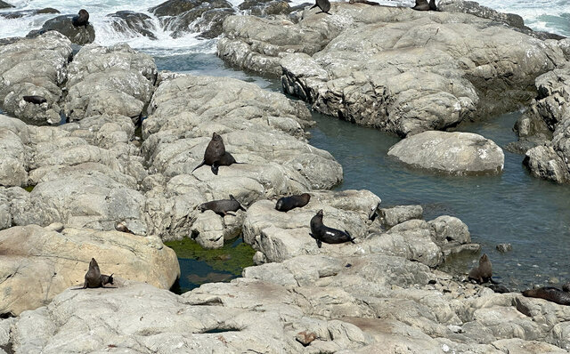 Feeling the Earth's Breath in Kaikoura, New Zealand's South Island | TRAVEL