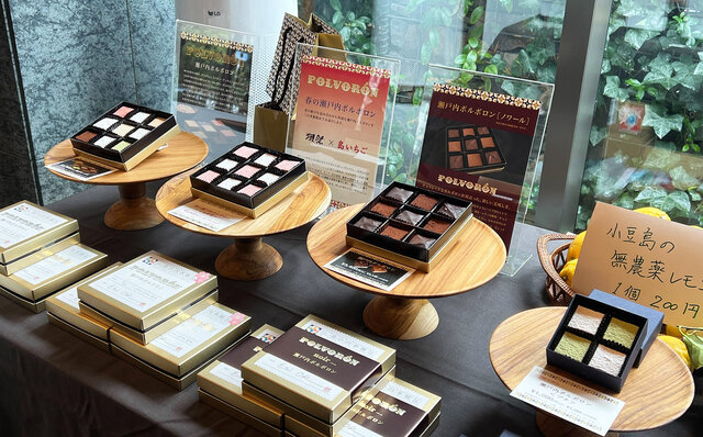 花人・赤井勝氏プロデュース。屋内花火イベント「瑞華院 了聞」主催 さくら祭り｜EVENT
