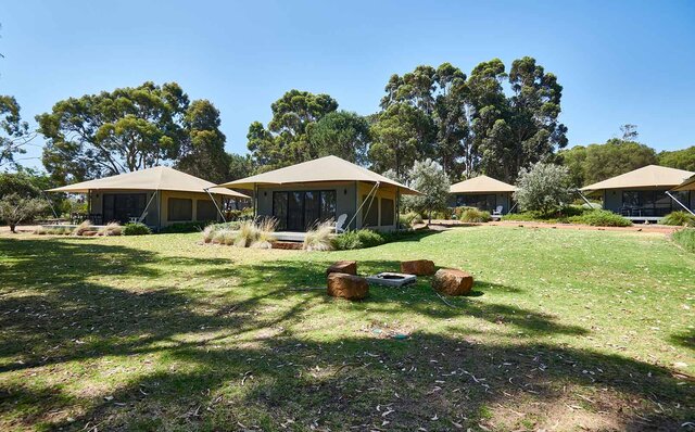 Premium Wines, the Ocean, and Olives: Savoring Nature's Bounty in Margaret River | TRAVEL