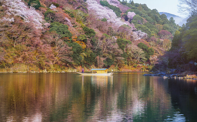 星のや｜現代日本で最も洗練された桜を愛でる体験