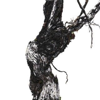 ヴィック ムニーズとルイナールのコラボ作品が東京初上陸｜Ruinart