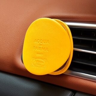 Beautiful design, too! Acqua di Parma collaborates with an Italian furniture brand on a car diffuser | ACQUA DI PARMA