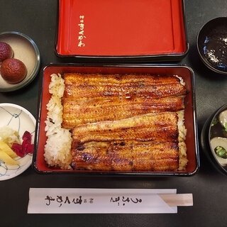 Essay Series | #ijichiman's Musings: "Unagi"