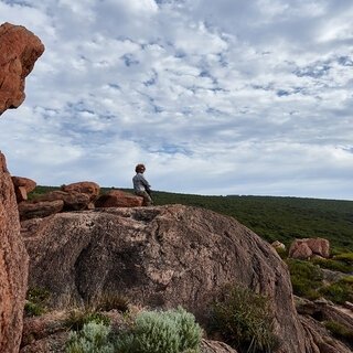 Premium Wines, the Ocean, and Olives: Savoring Nature's Bounty in Margaret River | TRAVEL