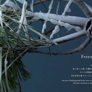 Kenichi Yamaguchi Photography Exhibition Underway | ART