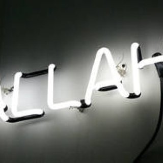 Matthew Waldman | Vol. 12 Neon Vagina @ 2010 NYC The Armory Show