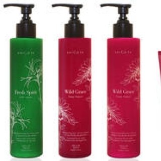 SHIGETA: Introducing a Haircare Series for Hair and Mind, Available in Two Options