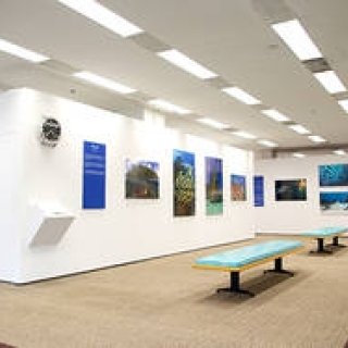 BLANCPAIN│神秘的な海中世界へ誘う写真展『オーシャンズ』