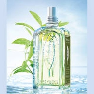 L'OCCITANE: Utterly Fresh. The New 'Verbena' with Pure Citrus Has Arrived!