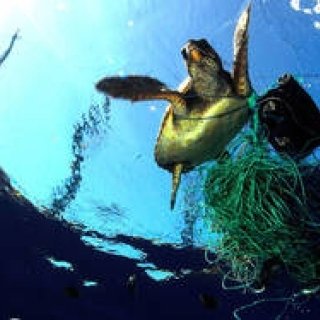 美しく豊かな海を維持するため、NGO団体とパートナーシップを締結｜BREITLING