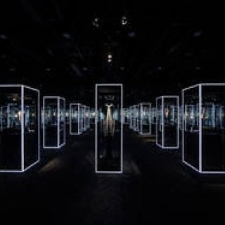 美と歴史を体感する「Feel the Pearl 感じるパール展」｜MIKIMOTO