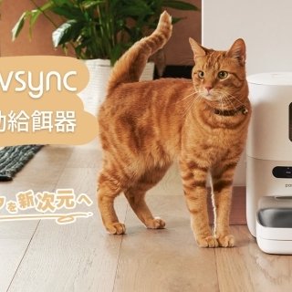 Bringing smiles to pets and owners alike! VeSync's new pet healthcare brand, Pawsync, makes its Japan debut. — Smarten up your pet's meal management with the Pawsync Automatic Pet Feeder —