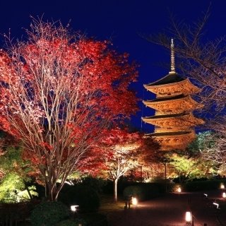 色彩豊かに紅葉する京の秋の魅力を体感 「そうだ 京都、行こう。」2022年秋 キャンペーンを10月1日(土) ～12月11日（日）で開催！