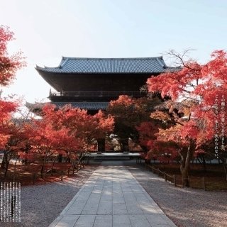 今秋で30周年を迎える「そうだ 京都、行こう。」秋編 2023年9月22日(金)よりキャンペーン、 9月30日(土)より新CM放映開始！