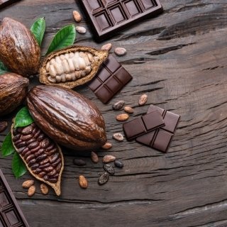 The Unique Chocolate Culture of the Philippines: Introducing "Tree to Bar" Chocolates, Chocolate Porridge, and Spa Treatments