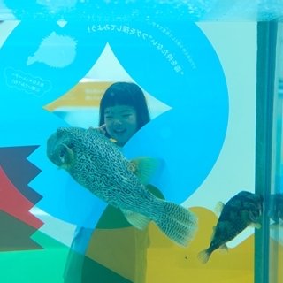 GWにもおすすめ。ニフレル新ゾーン「どくにふれる」で“こわい”が“すごい！”に変わる体験を