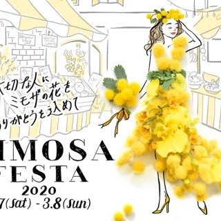 ⼥性を祝福するイタリアのひな祭り『MIMOSA FESTA（ミモザフェスタ）2020』が開催︕